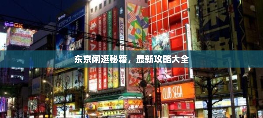 东京闲逛秘籍,最新攻略大全