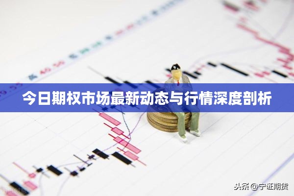 今日期权市场最新动态与行情深度剖析