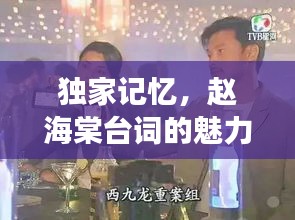 独家记忆,赵海棠台词的魅力与风采展现