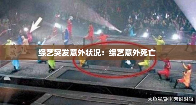 综艺突发意外状况:综艺意外死亡