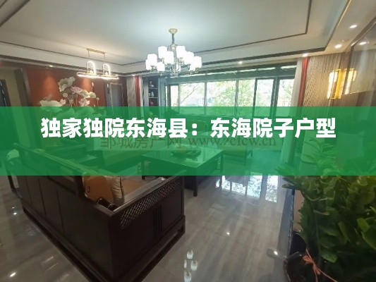 独家独院东海县:东海院子户型