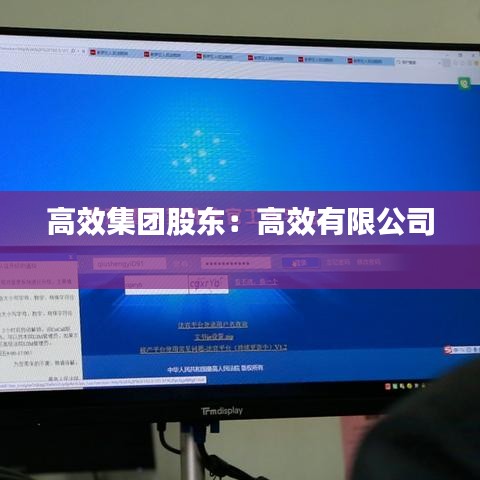 高效集团股东:高效有限公司