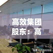 高效集团股东:高效有限公司
