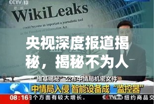 央视深度报道揭秘,揭秘不为人知的真相