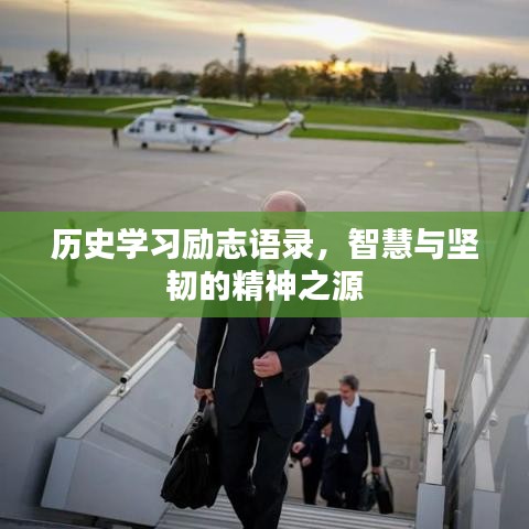 历史学习励志语录,智慧与坚韧的精神之源