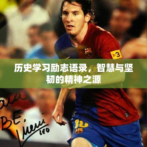 历史学习励志语录,智慧与坚韧的精神之源