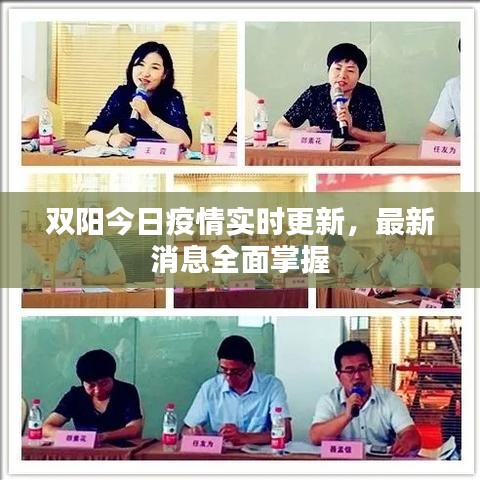 双阳今日疫情实时更新,最新消息全面掌握