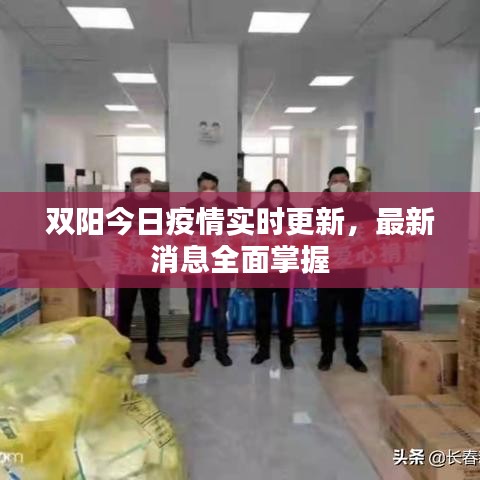 双阳今日疫情实时更新,最新消息全面掌握
