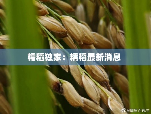 铁杵成针 第4页