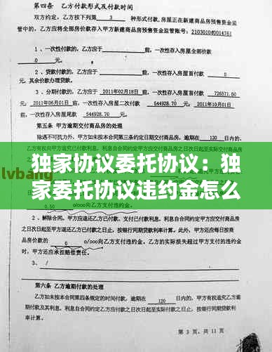 独家协议委托协议:独家委托协议违约金怎么赔