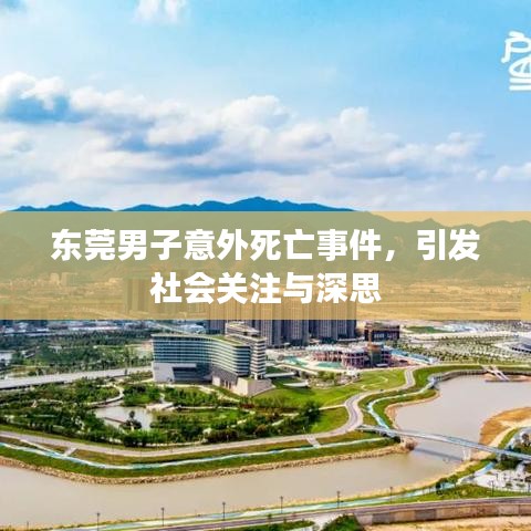 东莞男子意外死亡事件,引发社会关注与深思