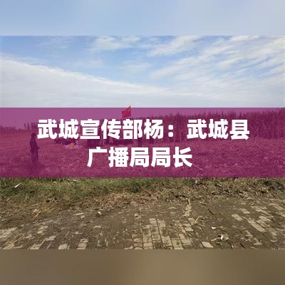 武城宣传部杨:武城县广播局局长