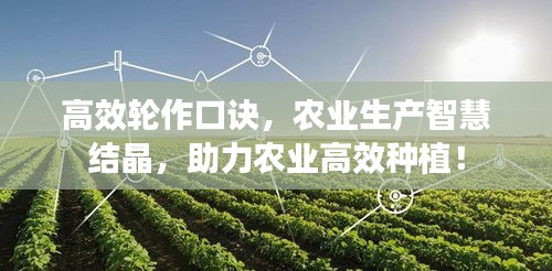 高效轮作口诀,农业生产智慧结晶,助力农业高效种植!