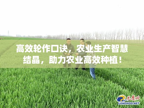 高效轮作口诀,农业生产智慧结晶,助力农业高效种植!