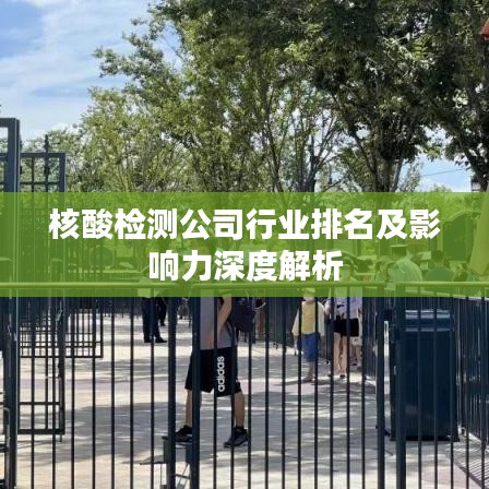 核酸检测公司行业排名及影响力深度解析