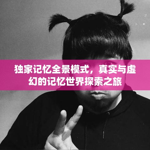 独家记忆全景模式,真实与虚幻的记忆世界探索之旅