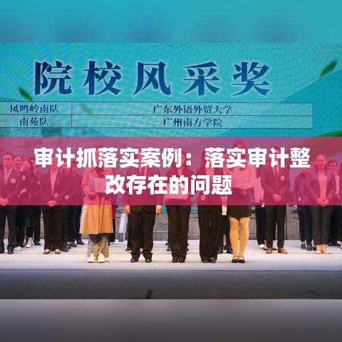 审计抓落实案例:落实审计整改存在的问题