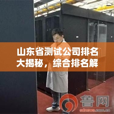 山东省测试公司排名大揭秘,综合排名解析