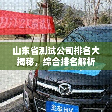 山东省测试公司排名大揭秘,综合排名解析