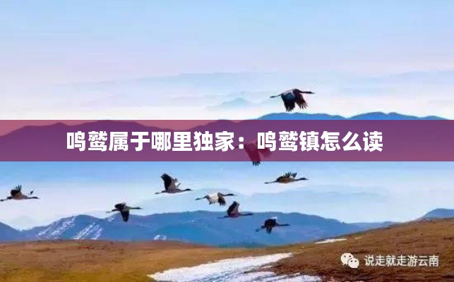 鸣鹫属于哪里独家:鸣鹫镇怎么读