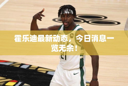 霍乐迪最新动态，今日消息一览无余！