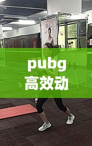 pubg高效动作:pubg动作模糊