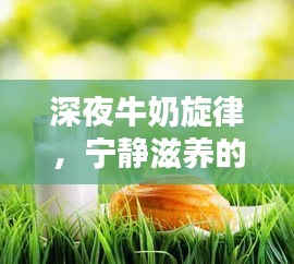 深夜牛奶旋律,宁静滋养的流淌时光
