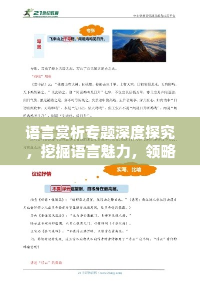语言赏析专题深度探究,挖掘语言魅力,领略文字之美