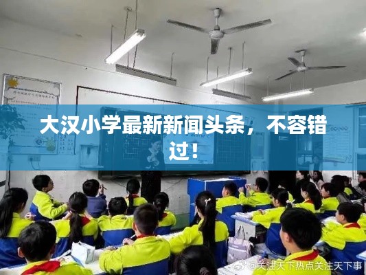 大汉小学最新新闻头条,不容错过!