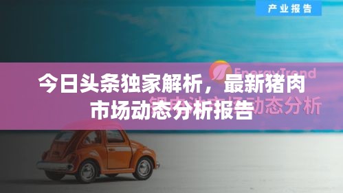 今日头条独家解析,最新猪肉市场动态分析报告