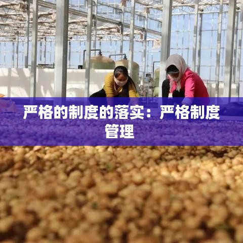 严格的制度的落实:严格制度管理