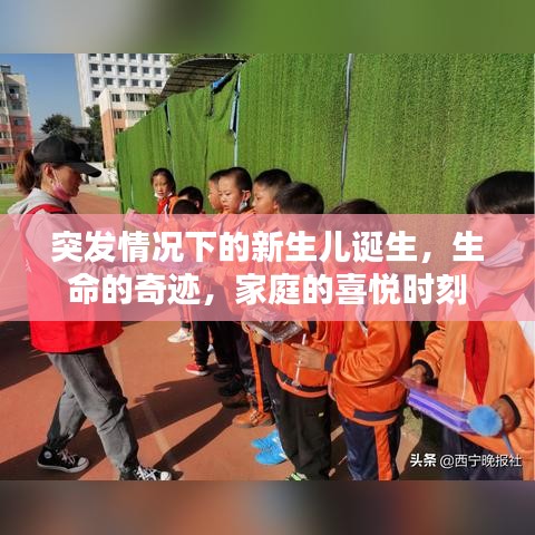 突发情况下的新生儿诞生,生命的奇迹,家庭的喜悦时刻