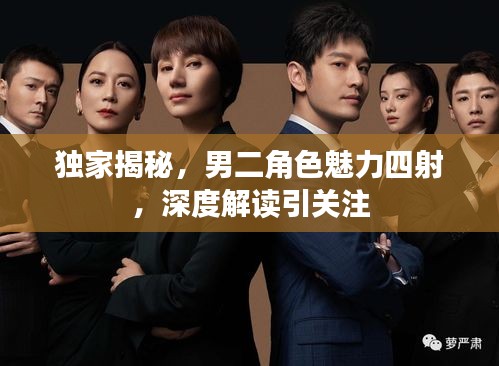 独家揭秘,男二角色魅力四射,深度解读引关注