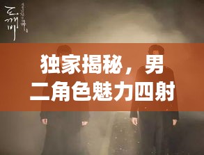 独家揭秘,男二角色魅力四射,深度解读引关注