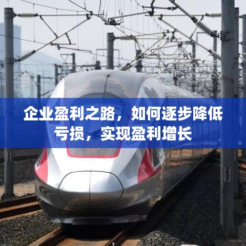 企业盈利之路,如何逐步降低亏损,实现盈利增长