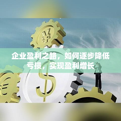 企业盈利之路,如何逐步降低亏损,实现盈利增长