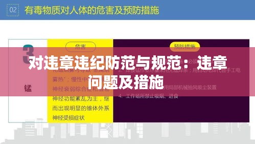 对违章违纪防范与规范:违章问题及措施