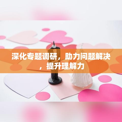 深化专题调研,助力问题解决,提升理解力