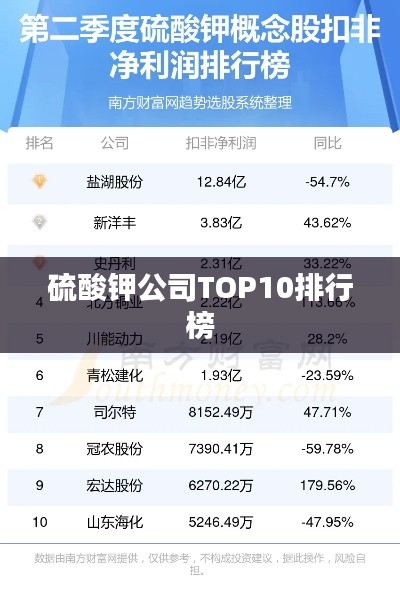 硫酸钾公司TOP10排行榜
