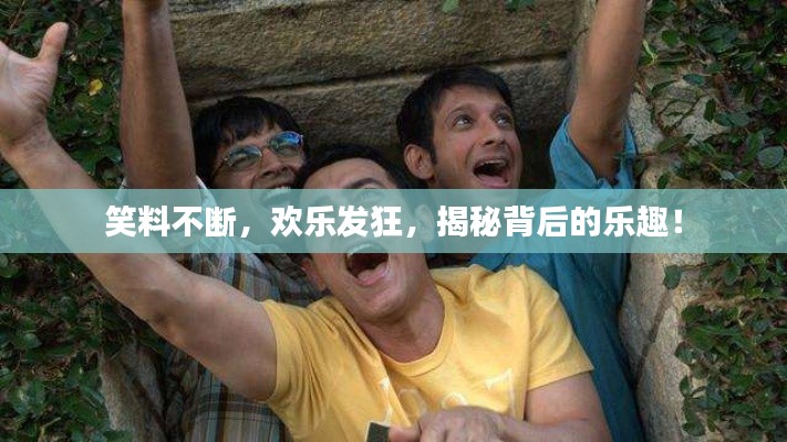 笑料不断,欢乐发狂,揭秘背后的乐趣!