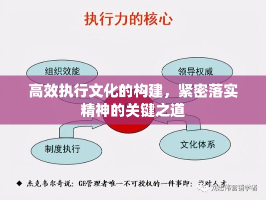 高效执行文化的构建,紧密落实精神的关键之道