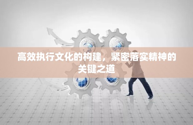 高效执行文化的构建,紧密落实精神的关键之道