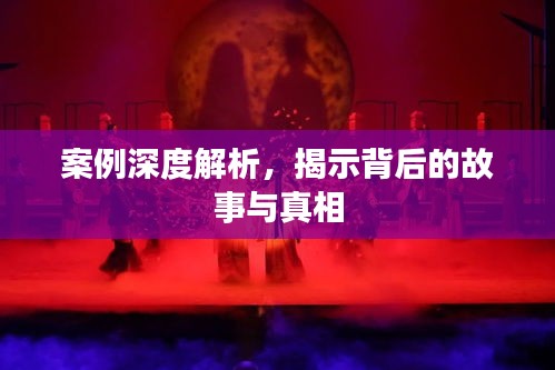 案例深度解析,揭示背后的故事与真相