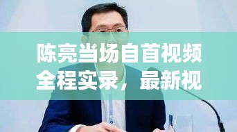 陈亮当场自首视频全程实录,最新视频大全,一探究竟!
