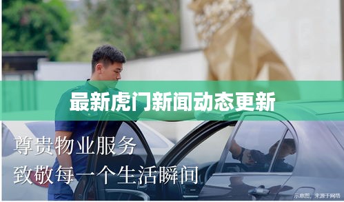 最新虎门新闻动态更新