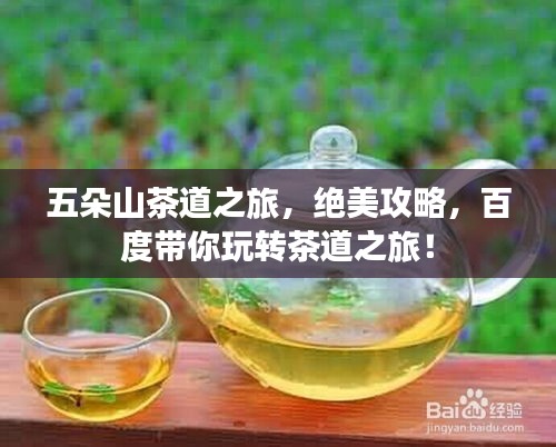 五朵山茶道之旅,绝美攻略,百度带你玩转茶道之旅!