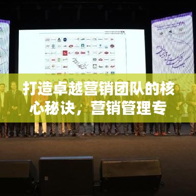 打造卓越营销团队的核心秘诀,营销管理专题培训全解析
