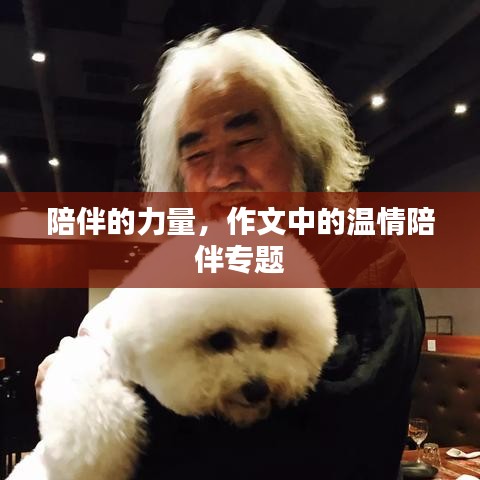 陪伴的力量,作文中的温情陪伴专题