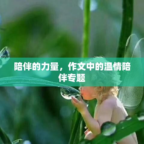 陪伴的力量,作文中的温情陪伴专题