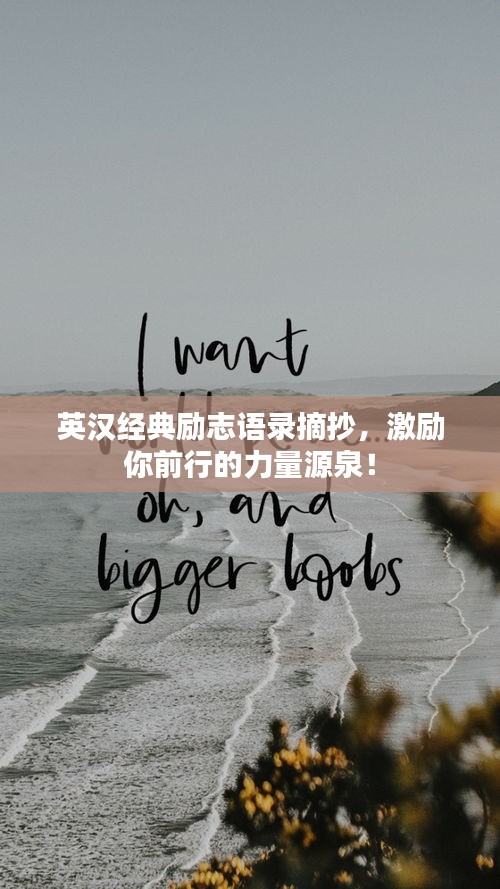 一毫不苟 第4页